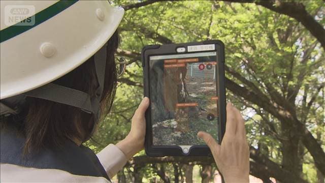 砧公園でAI点検の実証実験　相次ぐ倒木受け　専用のアプリで調査の必要性予測