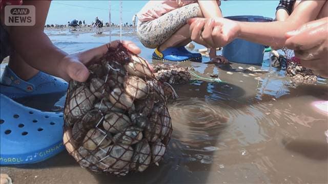 夏日続出…山梨で30℃に迫る暑さ　潮干狩りに多くの人が