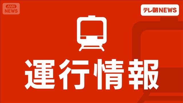 東北新幹線が東京－八戸で午後8時半ごろ運転再開見込み