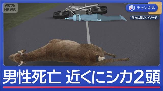 “倒れていた男性”死亡…近くに2頭のシカ“ひき逃げ”か