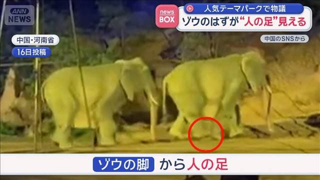 ゾウのはずが“人の足”見える　人気テーマパークで物議　中国