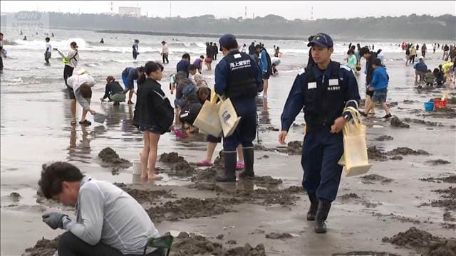 茨城・大洗　潮干狩り客の密猟取り締まりを実施　違反で拘禁刑や罰金も