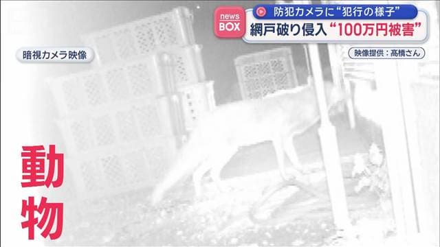 防犯カメラに「犯行の様子」　網戸破り侵入“100万円被害”山形