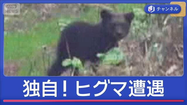 取材中ヒグマと遭遇…ゴールデンウィークどこに出る？