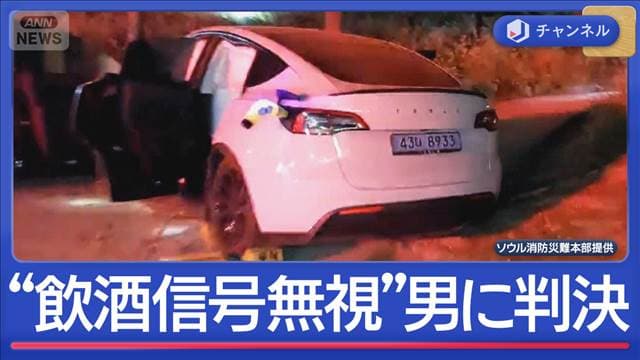 飲酒運転“信号無視”はねられた日本人親子死傷　韓国で男に懲役5年判決