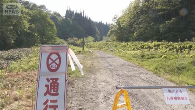 85歳男性がクマに襲われ死亡か…頭などに引っかかれた傷も　岩手・西和賀町