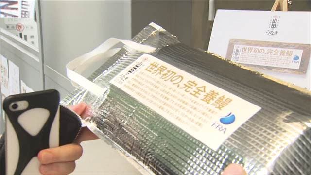 「完全養殖ウナギ」の販売始まる　一般向けは世界初