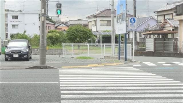 横断歩道で小学生はねられる　男逮捕　静岡・浜松市