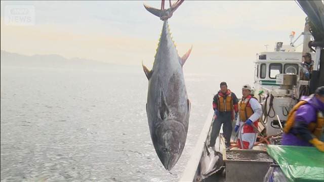 マグロの漁獲枠拡大交渉を巡りメキシコ批判　農水大臣「交渉努力を無にするもの」