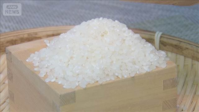 コメ価格が5週連続値下がり　在庫最大・需要以上の生産量