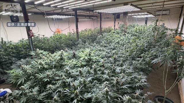 倉庫で1億円相当の大麻栽培　2人逮捕　北海道・日高町