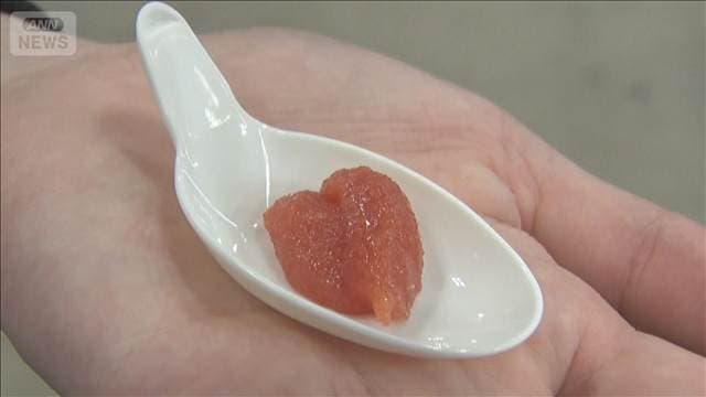 魚卵使わず明太子の味再現　塩分半分、コレステロールはゼロ　老舗メーカー5年かけ