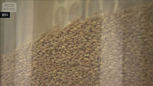 輸入小麦の政府売渡価格　7500円引き上げ　中東情勢影響で輸送コスト増