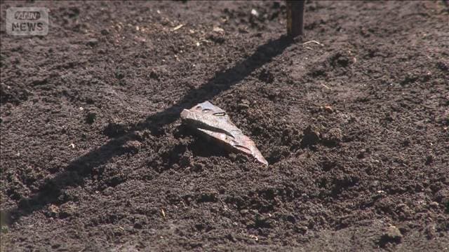 日本ハム2軍移転先で埋蔵文化財の発掘調査　縄文土器など見つかる　北海道恵庭市