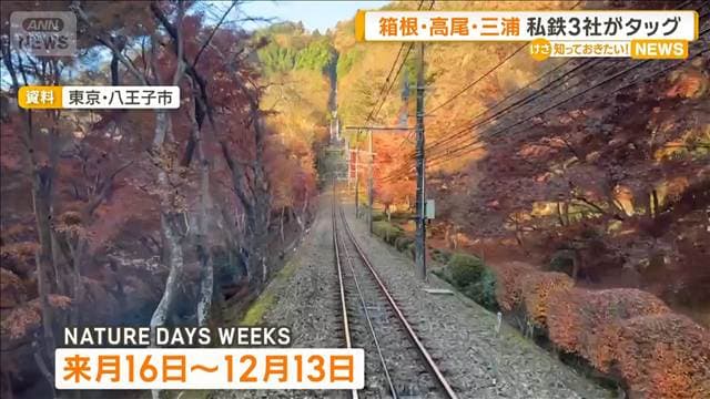 箱根・高尾・三浦　私鉄3社がタッグ　観光地以外も紹介　繁忙期と閑散期の差解消へ