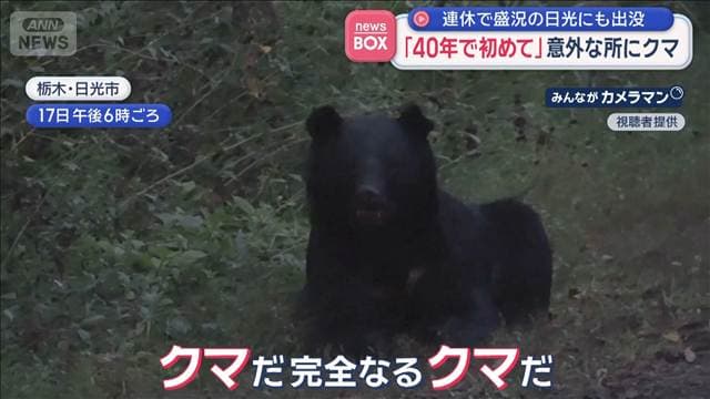 「40年で初めて」意外な所にクマ　連休で盛況の日光にも出没