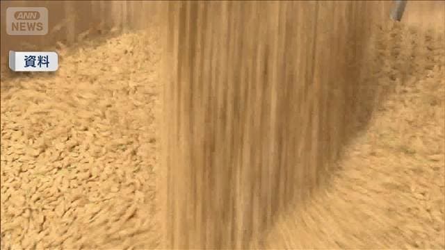 今年の新米　「1等」比率は例年並み