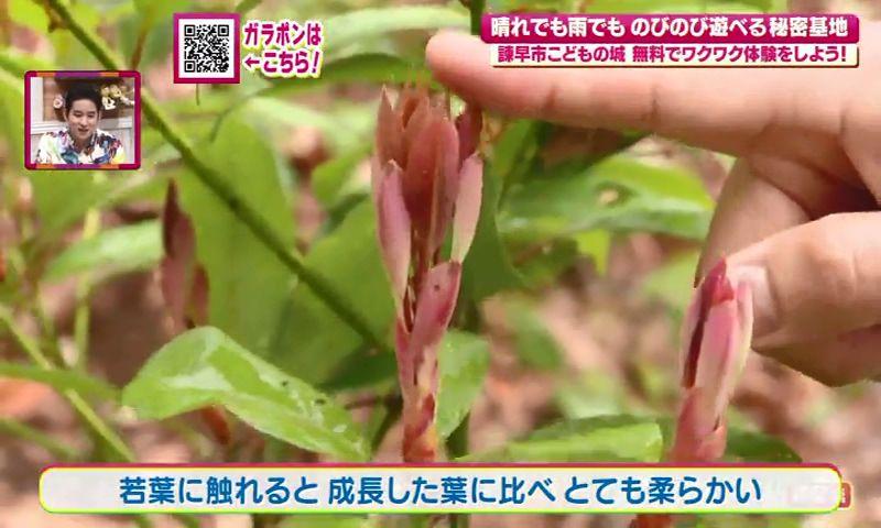 250502_100732_14
