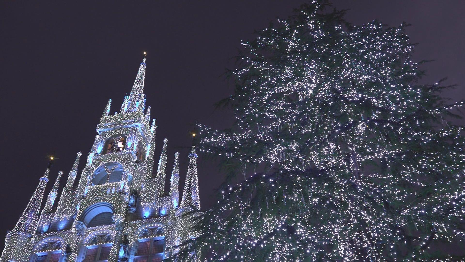 ハウステンボスのイルミネーション「日本三大イルミネーション」に３回目の認定