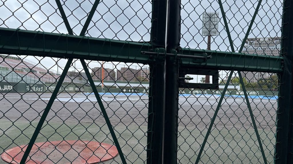 【高校野球】鹿児島開催の春の九州大会は雨で順延 