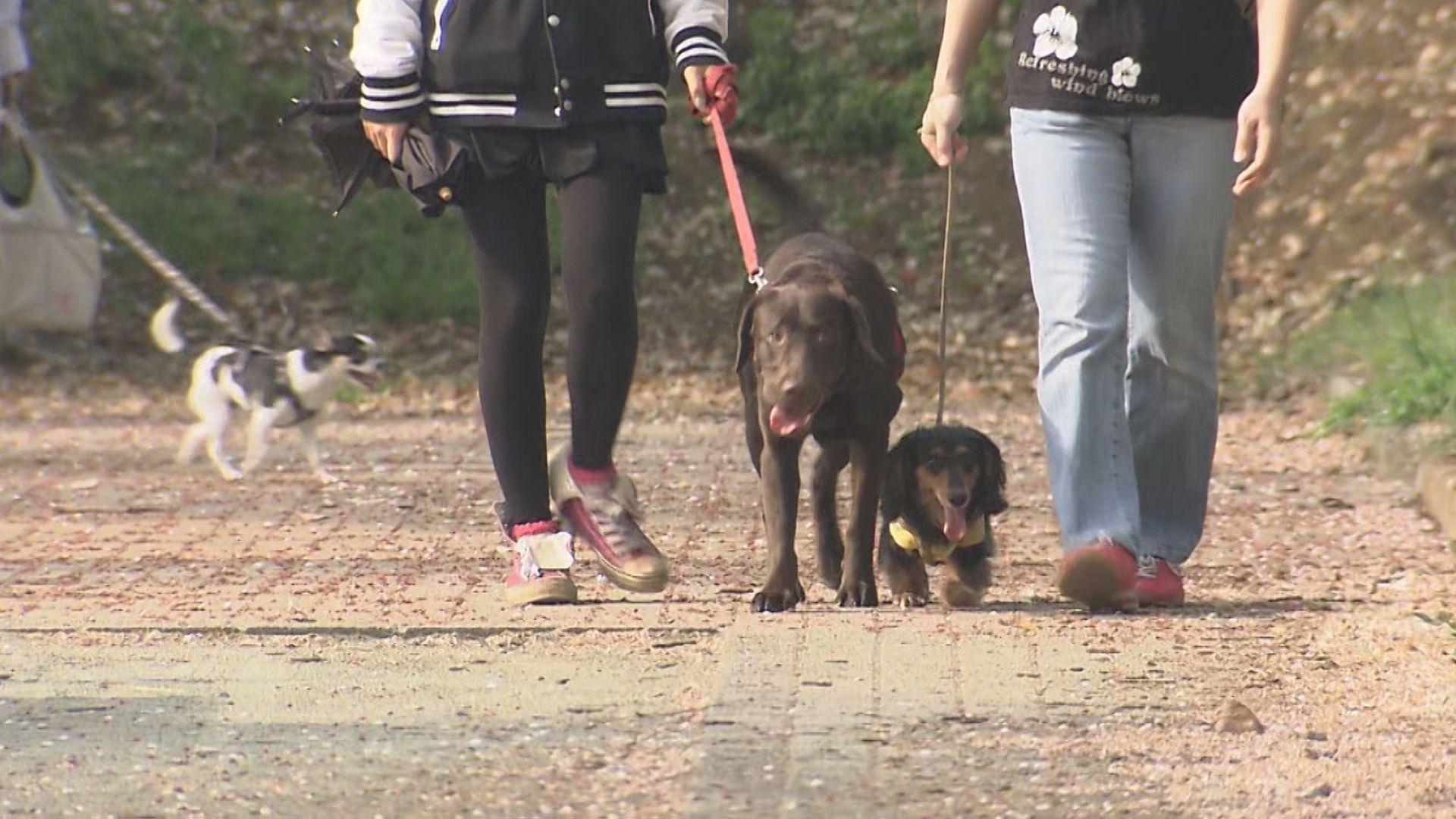 【長崎】認知症｢犬を飼育｣で低リスク 散歩などの運動や社会参加が影響か