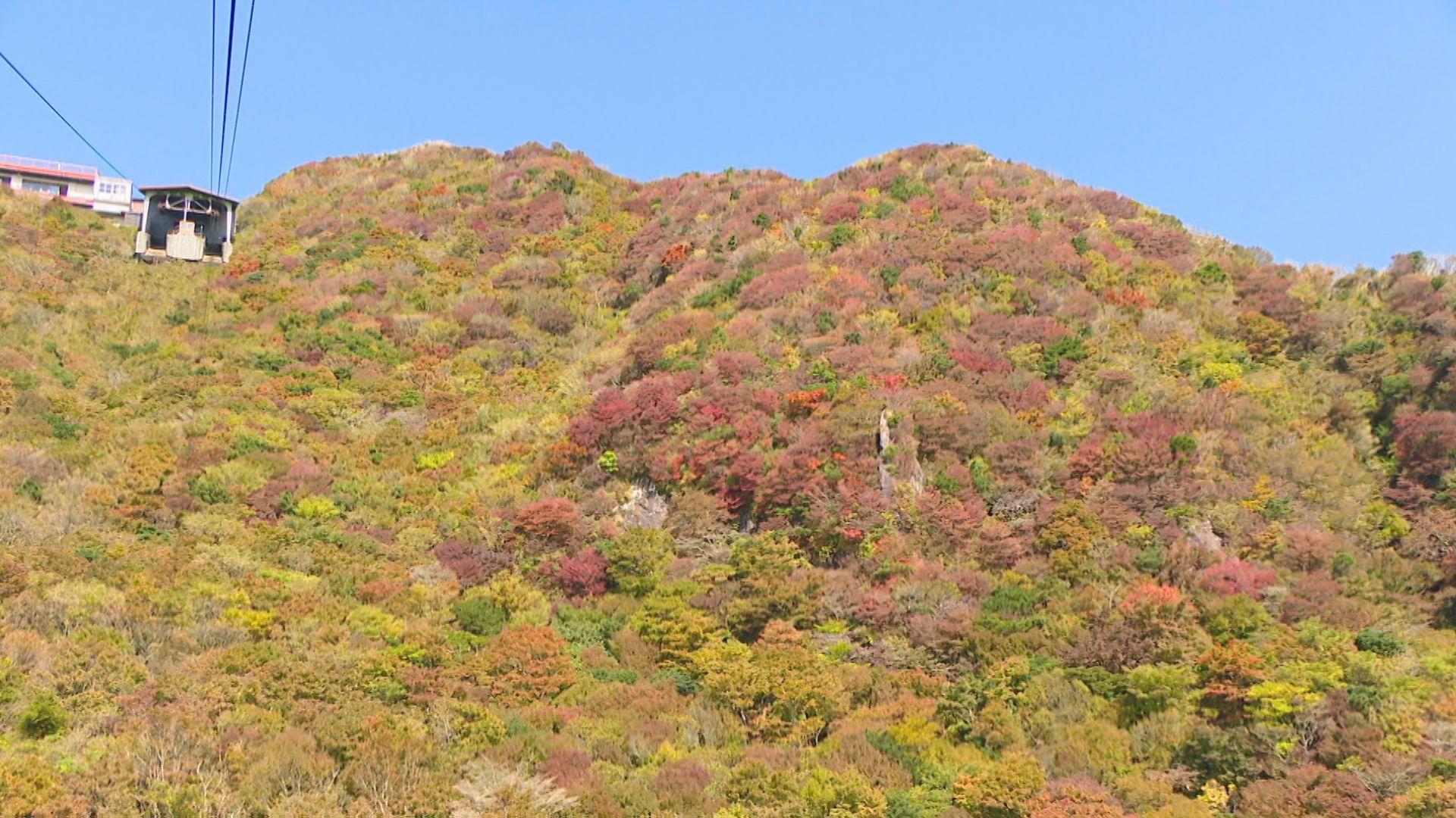 雲仙仁田峠で紅葉見頃 櫻田気象予報士がリポート