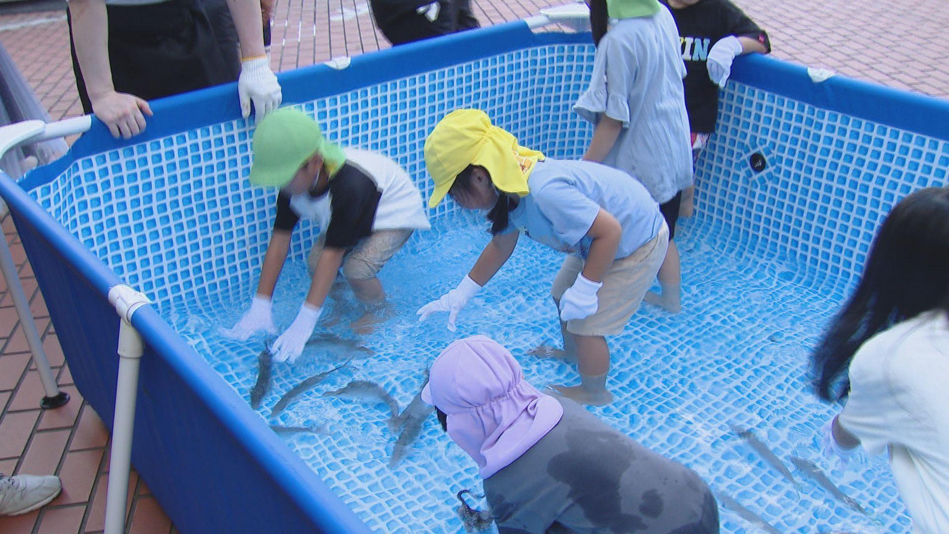 涼しくておいしい体験　ホテルで長崎の魚をつかみどり　