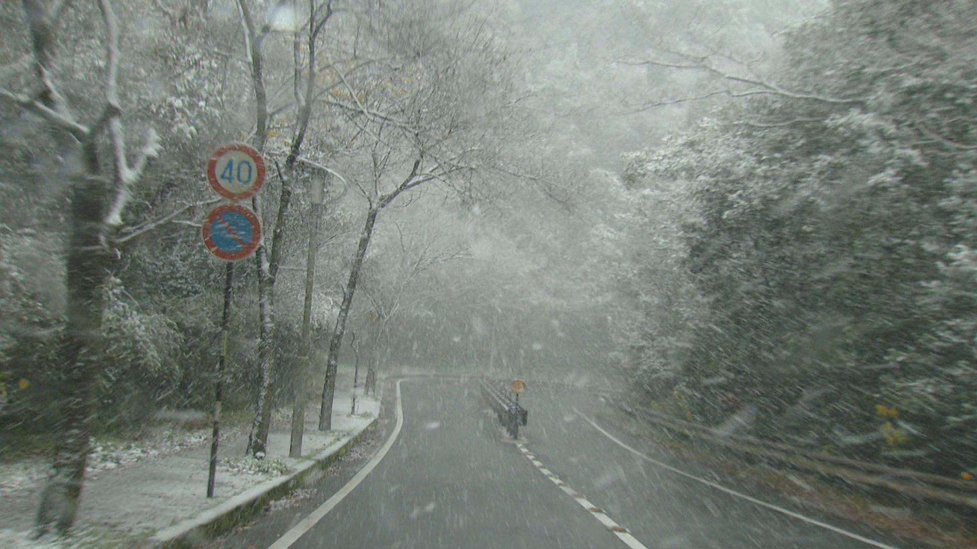 【長崎】今季最強寒波22日にかけ大雪の恐れ　この寒さに動物たちは…森きらら