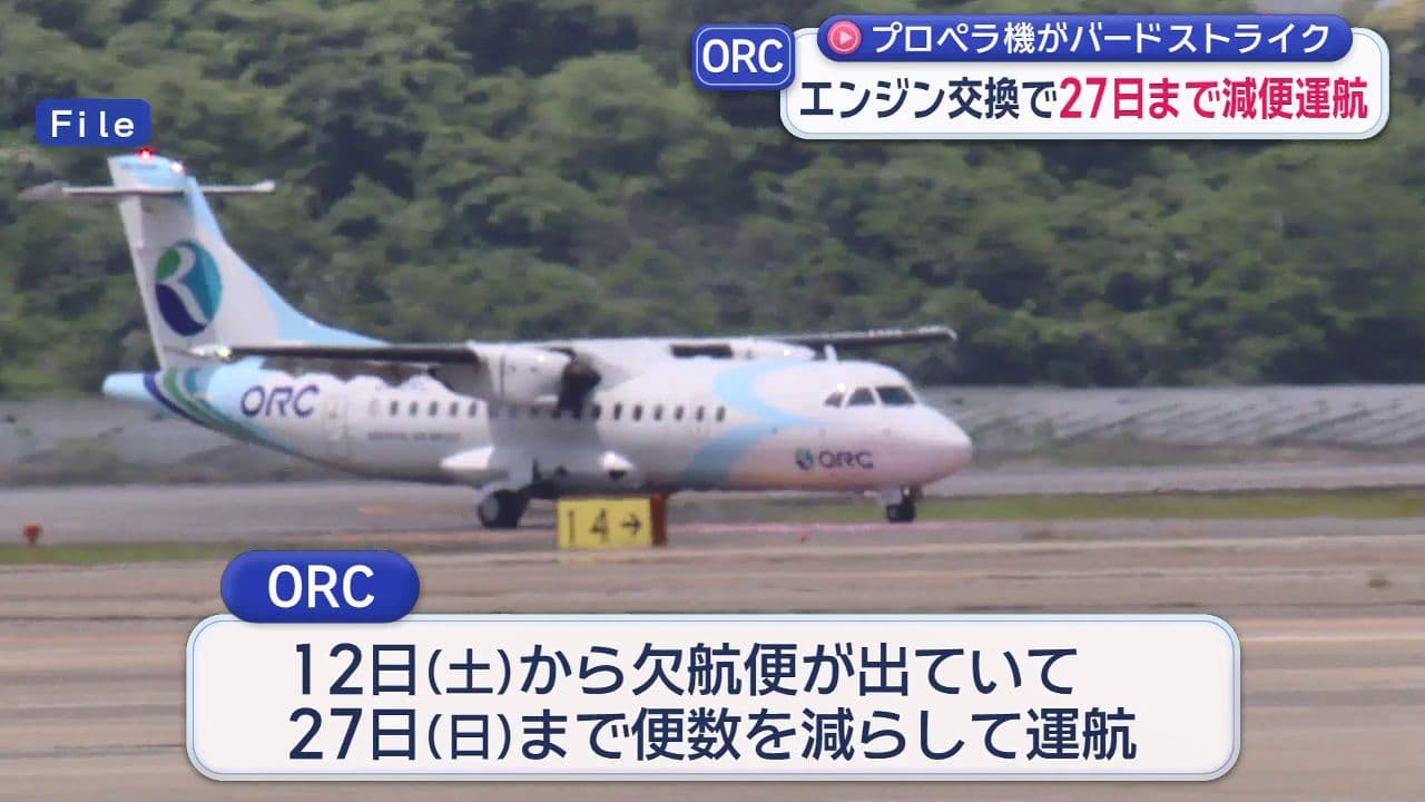 ORCプロペラ機が「バードストライク」　エンジン交換で27日まで減便運航