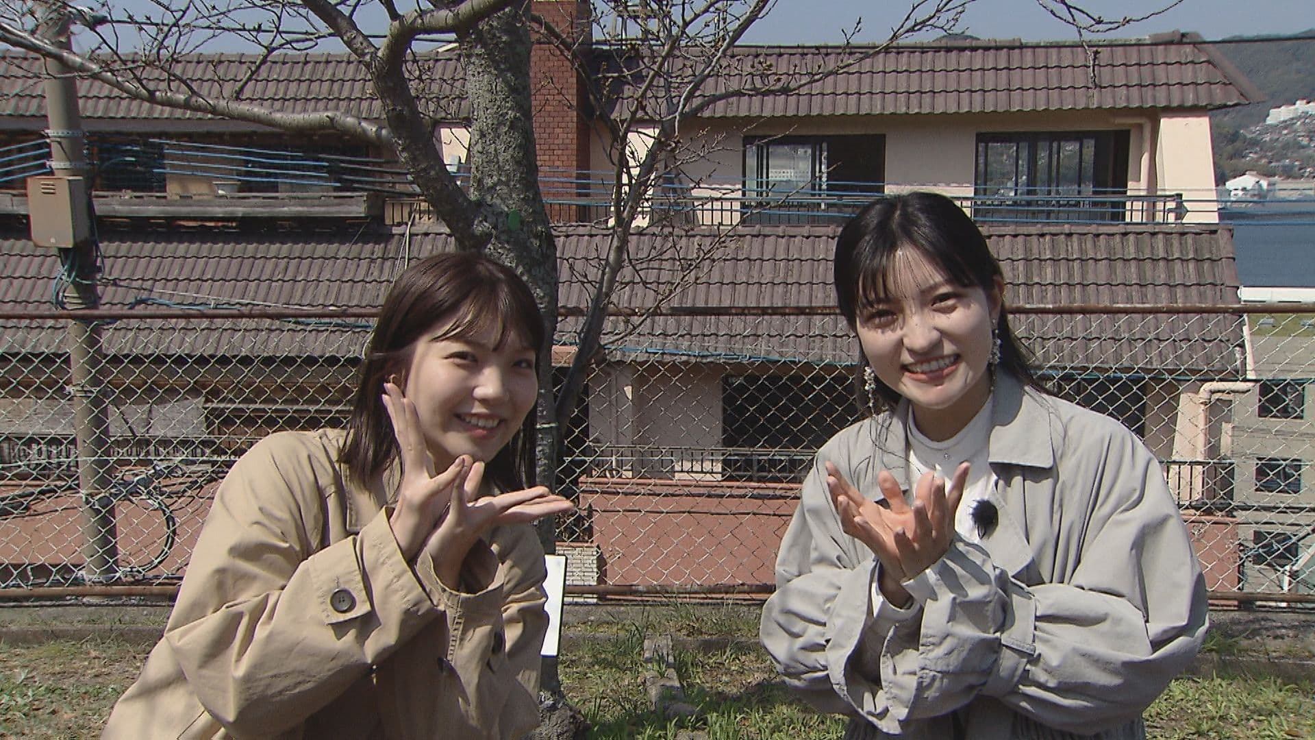 「２６日午前１０時 標本木に咲いていたのは２輪」 西尾菜穂 気象予報士　長崎の開花発表はいつ？　