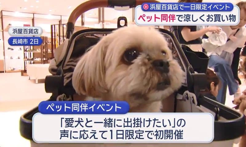 浜屋百貨店で一日限定イベント ペット同伴で涼しくお買い物