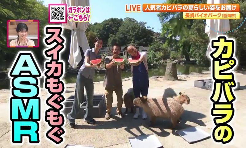 バイオパークで夏のふれあい！人気YouTube動画を再現してみた