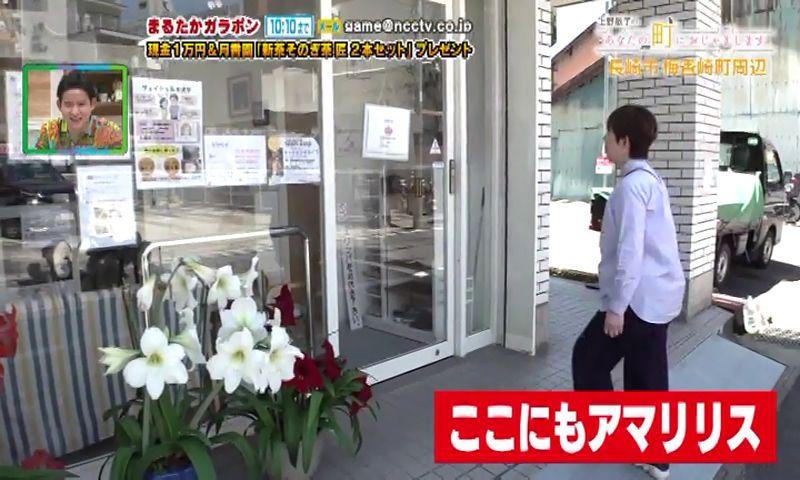 ここにもアマリリス