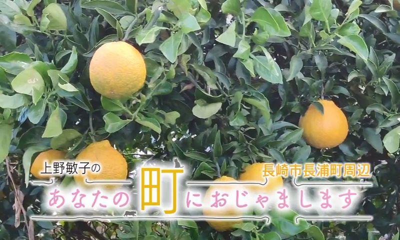 特集  上野敏子のあなたの町におじゃまします　～長崎市長浦町周辺～