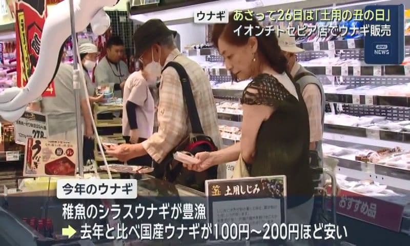 あさって26日は「土用の丑の日」今年の国産ウナギは去年と比べて１００円～２００円ほど安く