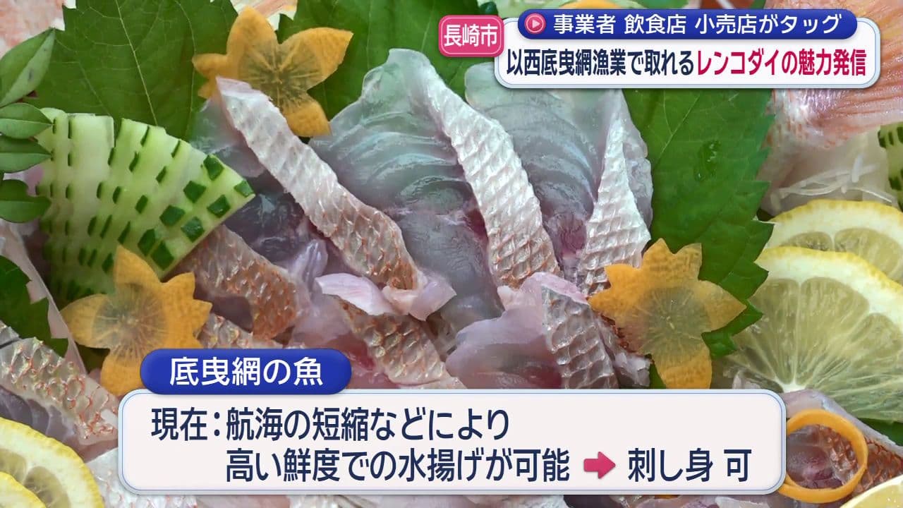長崎市事業者飲食店小売店がタッグ　以西底曳網漁業で取れるレンコダイの魅力発信