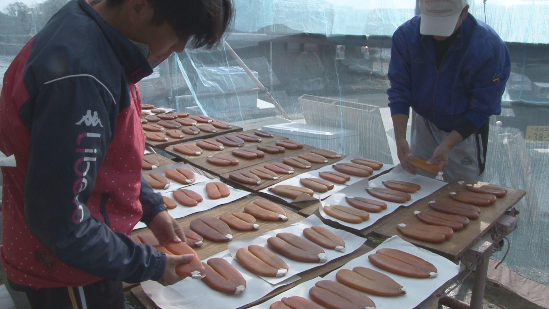 【長崎】年末年始の贈答品にいかが？五島で高級珍味「カラスミ」づくり