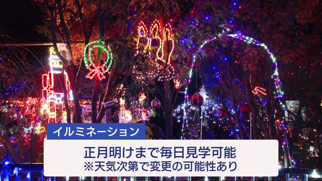 241220_182434_05