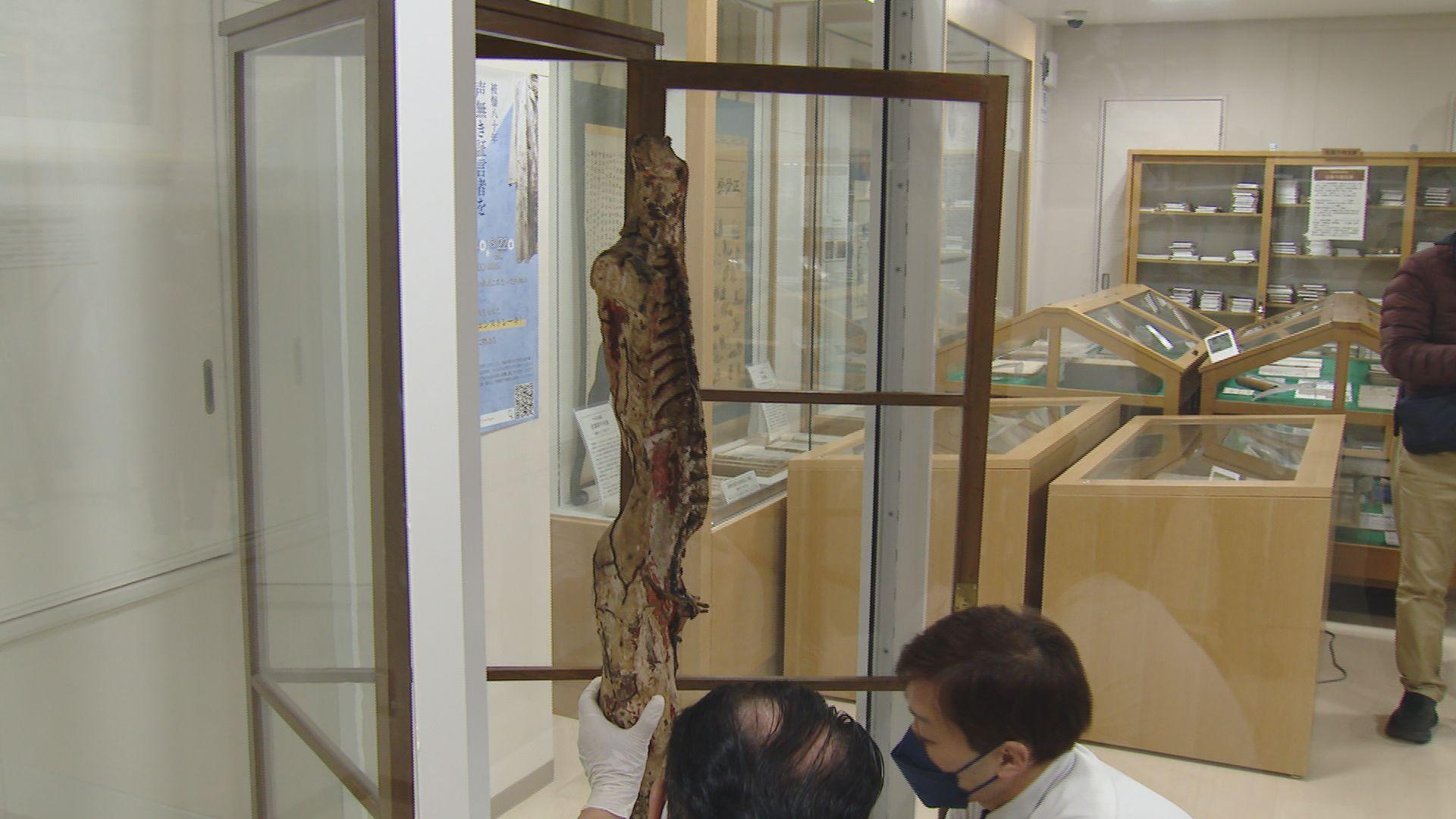 日本最古の人体解剖模型「キュンストレーキ」修復・保全のためＸ線検査始まる 長崎大学