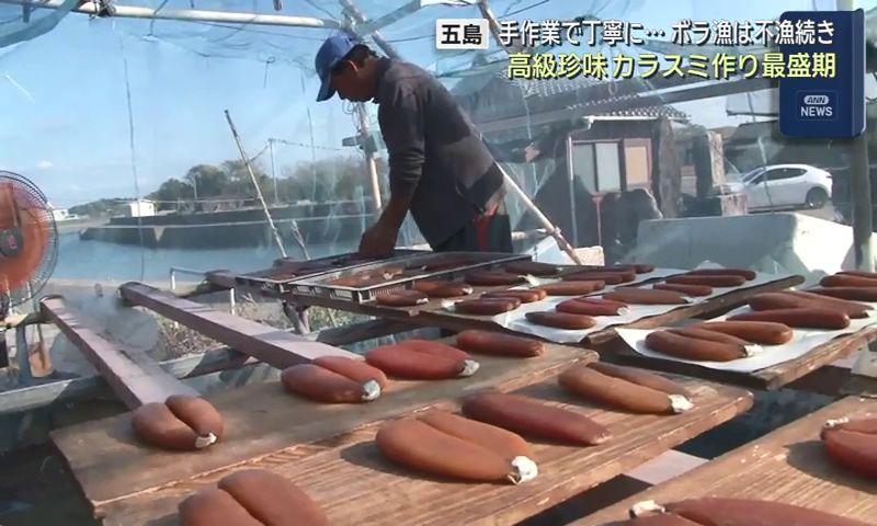 高級珍味「からすみ」作りが最盛期　五島市富江町　