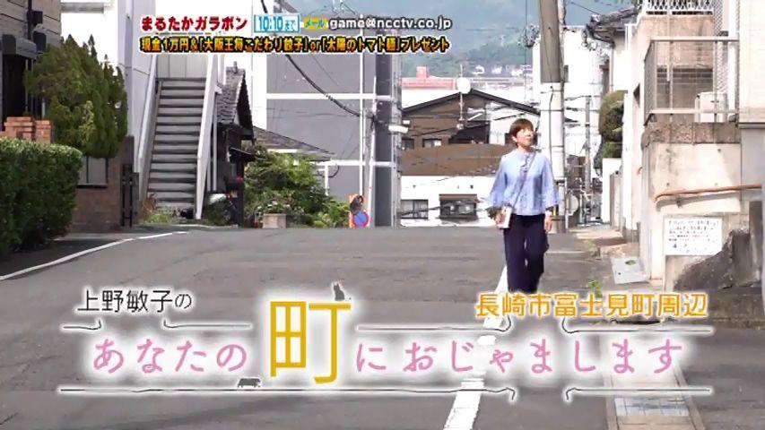 富士山がないのに富士見町？上野敏子のあなたの町におじゃまします