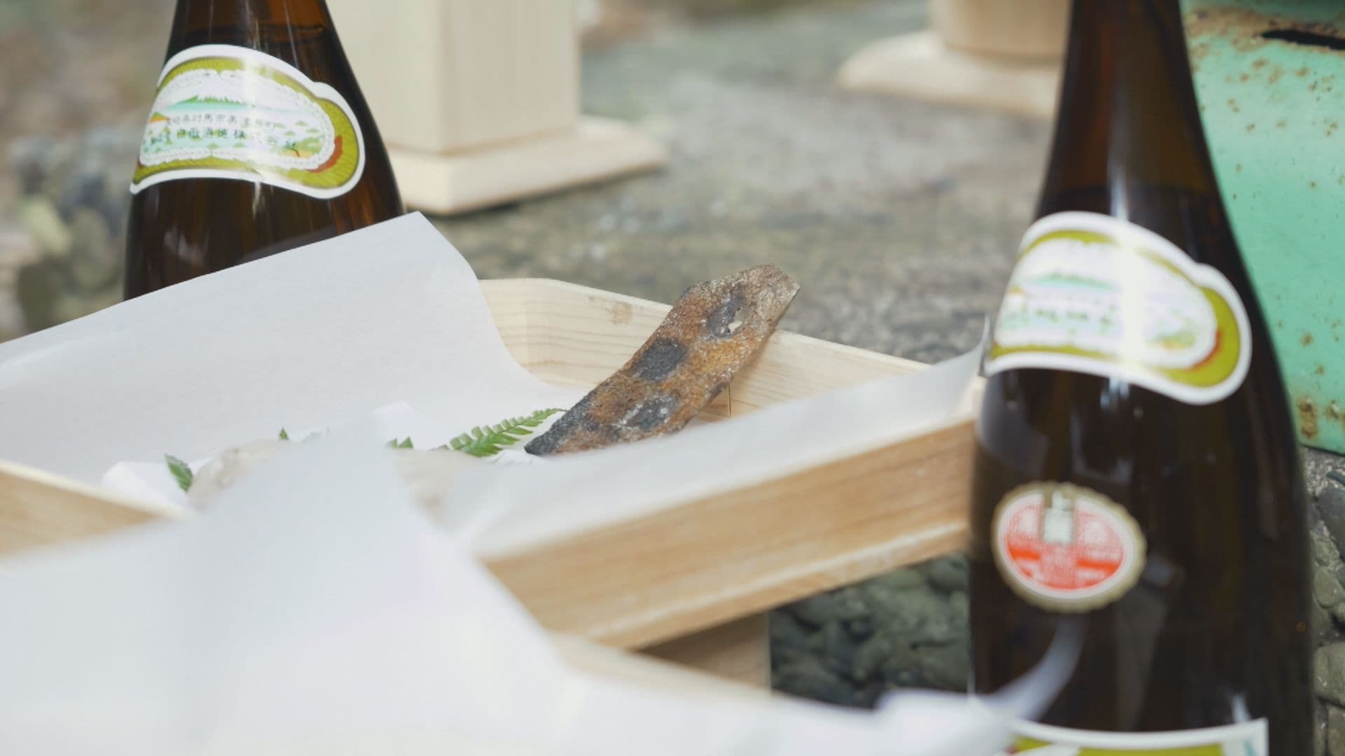 国境の島で１５００年続く神事　亀の甲羅を焼いて占った２０２６年は