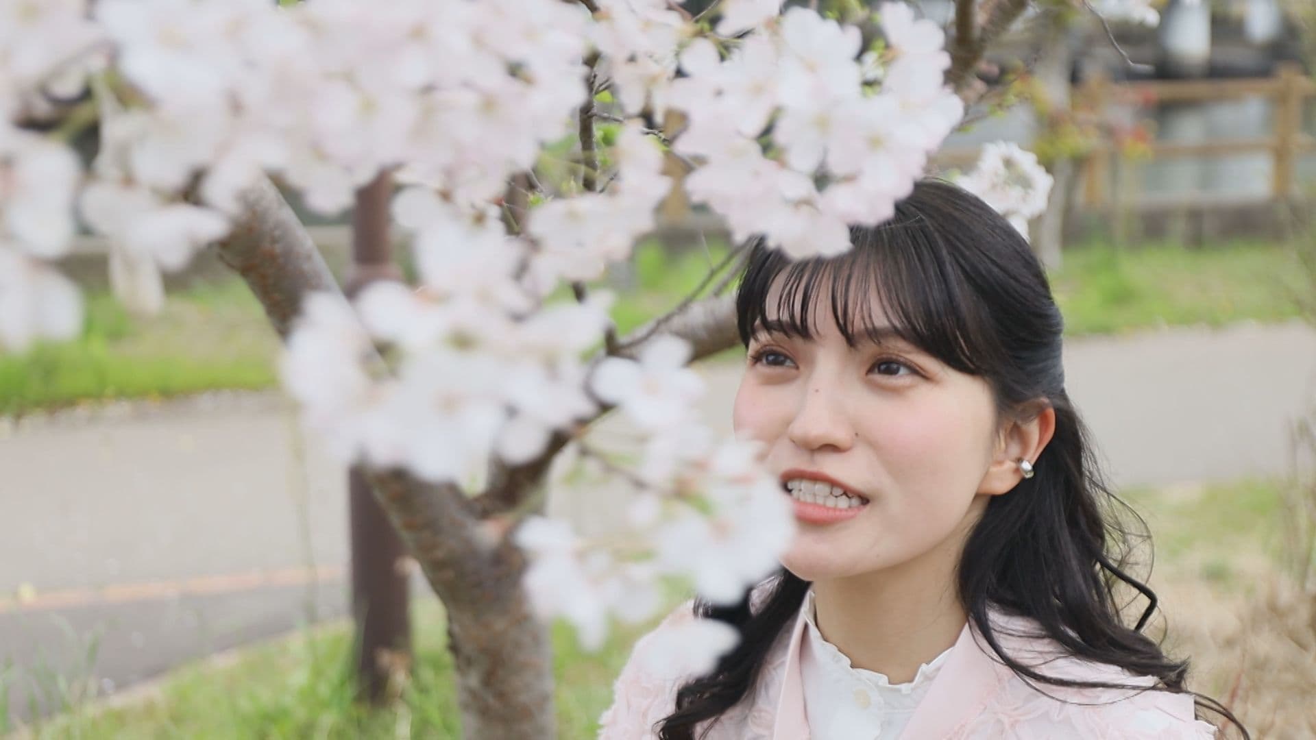 和菓子片手に浦上川沿いの桜へなほっと天気