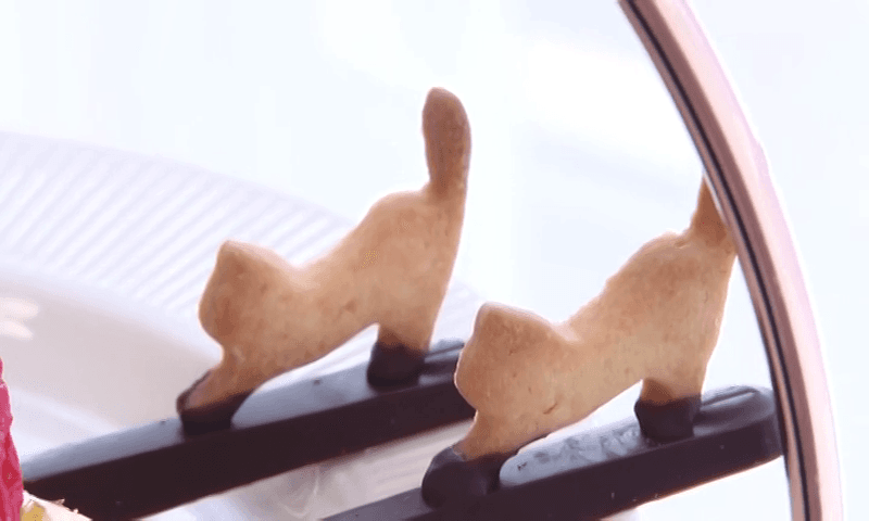 猫好き必見！本格スイーツが楽しめる隠れ家カフェ　長崎市「パティスリーねこ＆ルミナスフラワーズ」