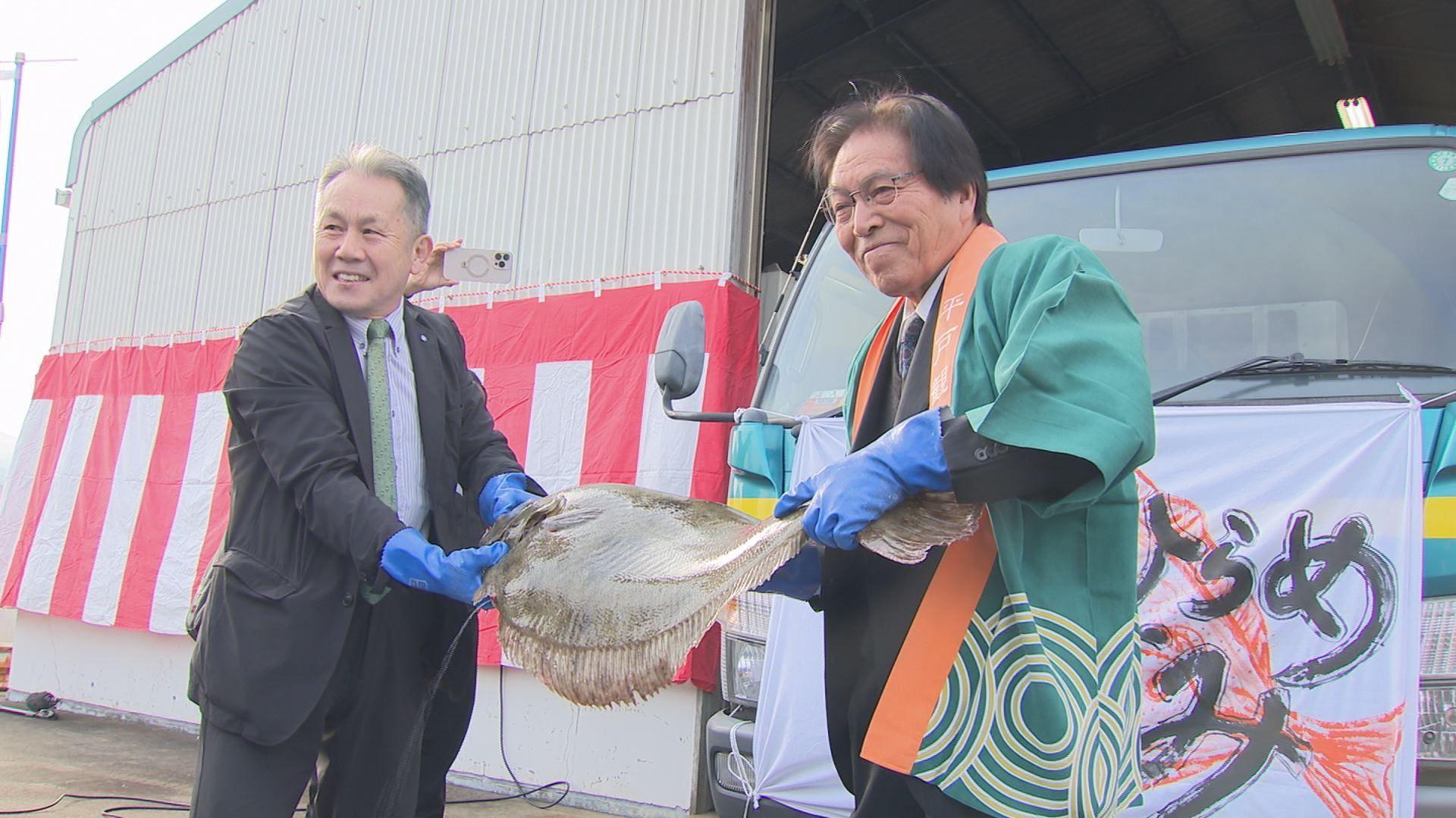 高級魚ヒラメ初出荷！25日から「平戸ひらめまつり」始まる