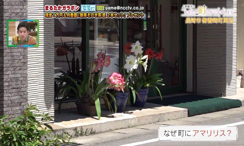 アマリリスが町に