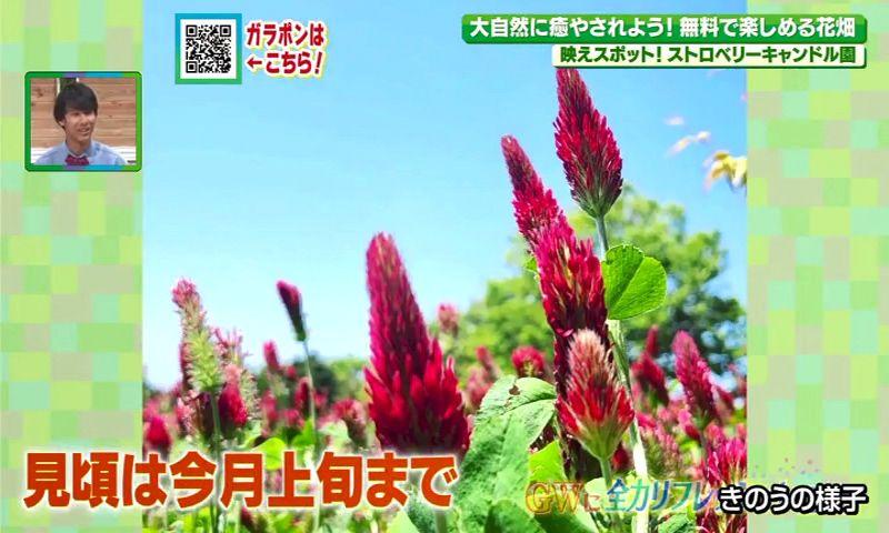 250503_094815_24