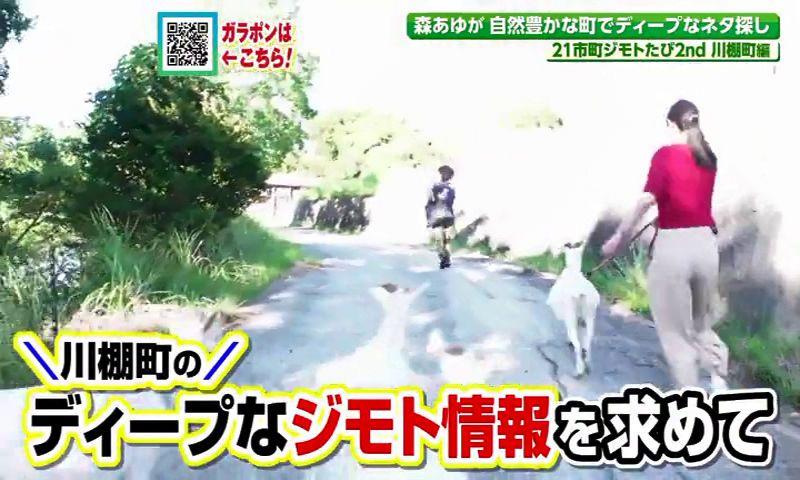 ヤギの散歩や小さな水族館　町民目線で「まちの魅力」を発掘するまち　　21市町ジモトたび２nd　川棚町