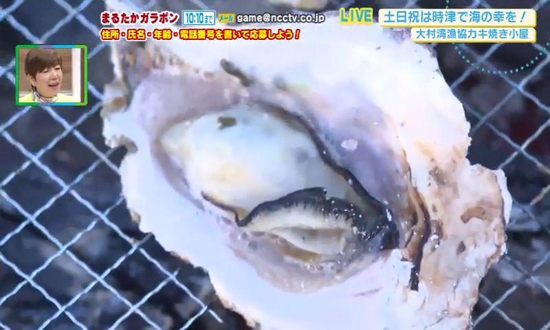 中継　時津町で海の幸を満喫！大村湾漁協カキ焼き小屋