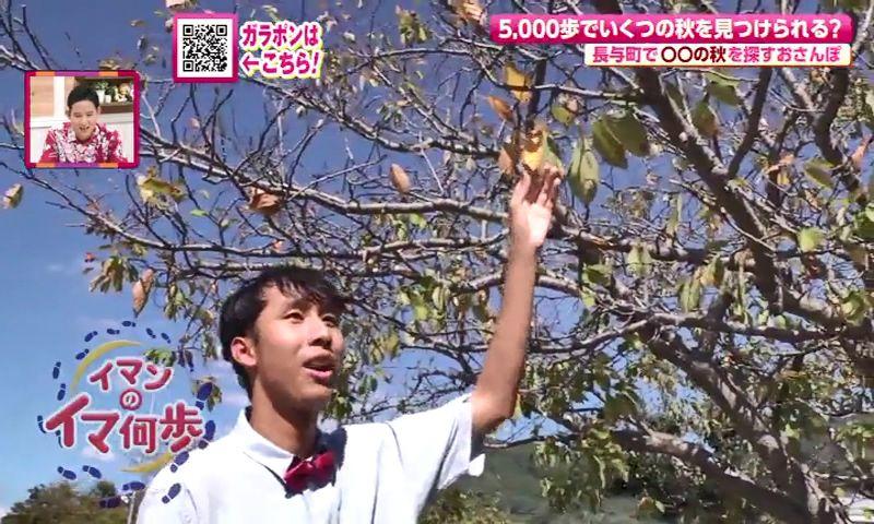 「イマンのイマ何歩」長与町で秋を楽しむ